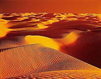 《动物森友会》7月29日推送免费季节更新 更多免费内容开发中