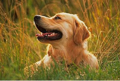 《黑神话：悟空》发售还有29天 十个有趣事实